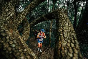 BIB: 
                            <button type="button" onclick="openModal(25675668)" class="btn btn-primary btn-sm float-right btn-popup" data-toggle="modal" data-target=".modal-high-quality">
                        <i class="fas fa-shopping-cart"></i> Add to Cart
                    </button>
                                            <button type="button" onclick="isThisMe(25675668, true)" class="btn btn-success btn-sm float-right btn-popup btn-isme hidden" data-toggle="tooltip" data-placement="bottom" title="นี่คือรูปของคุณใช่ไหม คลิกที่นี่เพื่อเอาเข้าอัลบั้ม">
                        <i class="fas fa-plus"></i> Add to album
                    </button>
                    <button type="button" onclick="isThisMe(25675668, false)" class="btn btn-warning btn-sm float-right btn-popup btn-isnotme hidden">
                        <i class="fas fa-ban"></i> Remove from album
                    </button>